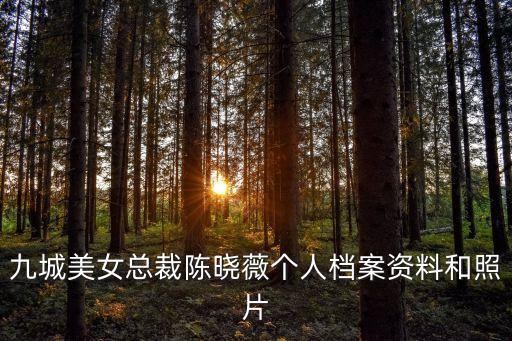 陳曉薇，誰能告訴我陳曉薇這個名字的意思