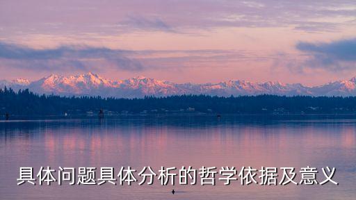 具體問題具體分析的哲學(xué)依據(jù)及意義