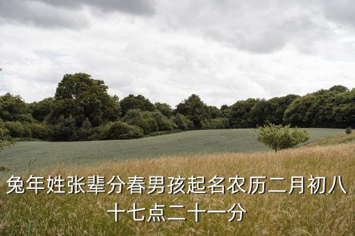兔年姓張輩分春男孩起名農(nóng)歷二月初八十七點(diǎn)二十一分