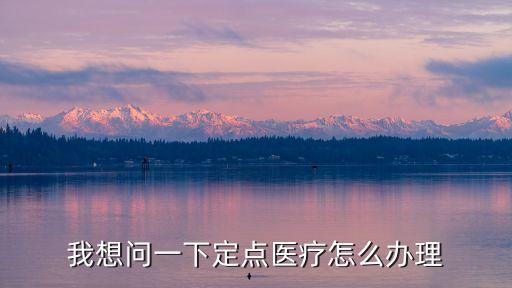 我想問(wèn)一下定點(diǎn)醫(yī)療怎么辦理