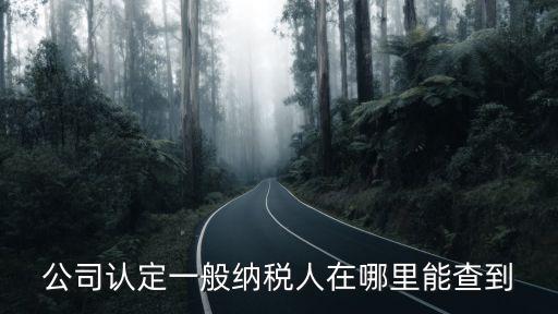 一般納稅人查詢(xún)，公司認(rèn)定一般納稅人在哪里能查到