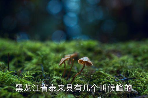 黑龍江省泰來縣有幾個叫候峰的