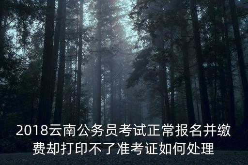 2018云南公務(wù)員考試正常報(bào)名并繳費(fèi)卻打印不了準(zhǔn)考證如何處理