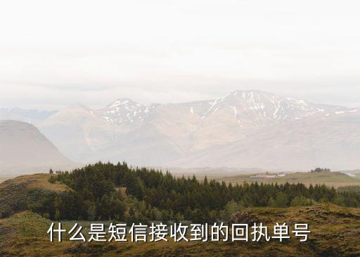 什么是短信接收到的回執(zhí)單號