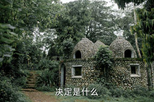 決定是什么意思，決定是什么
