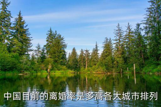 深圳離婚率，中國目前的離婚率是多高各大城市排列