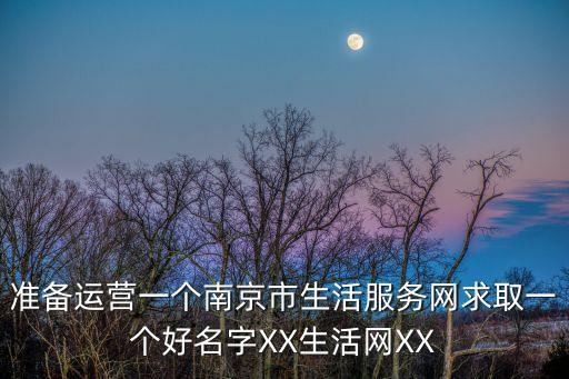 在線xx，準備運營一個南京市生活服務網(wǎng)求取一個好名字XX生活網(wǎng)XX