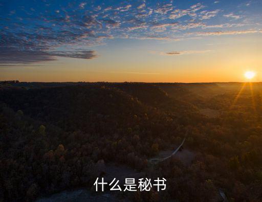 秘書是什么意思，秘書的意思是什么