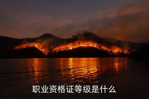 職業(yè)資格證等級是什么