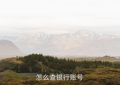 銀行賬號(hào)查詢，如何查詢銀行帳戶