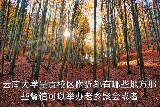 云南大學(xué)呈貢校區(qū)附近都有哪些地方那些餐館可以舉辦老鄉(xiāng)聚會或者