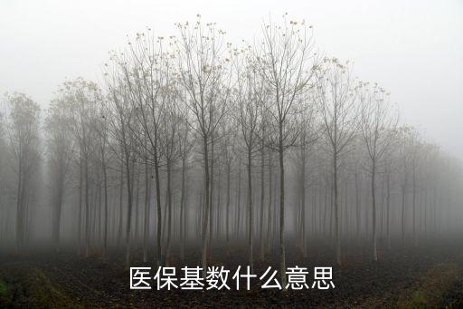 醫(yī)?；鶖?shù)什么意思