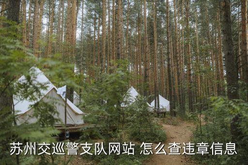 蘇州交通違章查詢，外地車在蘇州怎么查違章