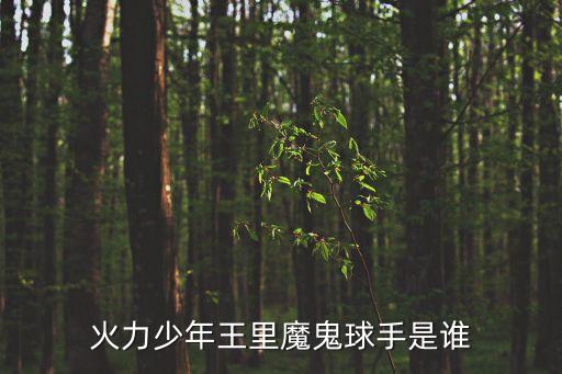 火力少年王里魔鬼球手是誰(shuí)