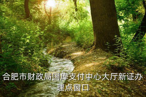 合肥財(cái)政，合肥市財(cái)政局的介紹
