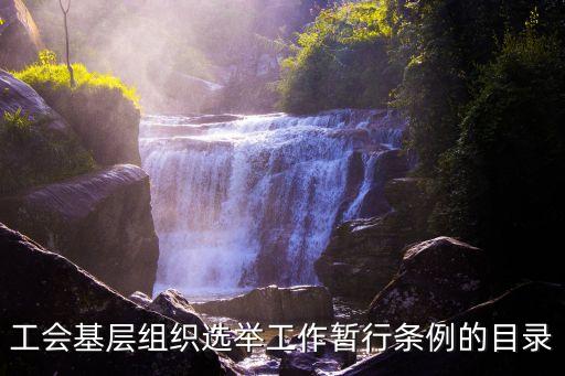 工會(huì)基層組織選舉工作暫行條例的目錄