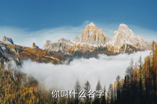 你叫什么名字