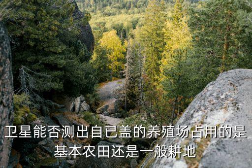 衛(wèi)星能否測出自已蓋的養(yǎng)殖場占用的是基本農(nóng)田還是一般耕地