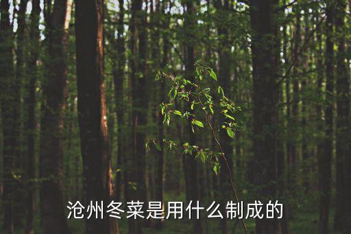 滄州冬菜是用什么制成的