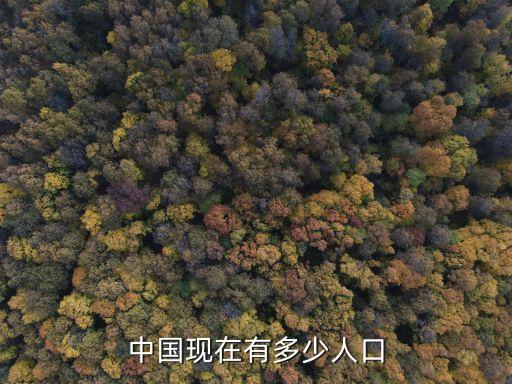 目前我國(guó)，現(xiàn)在我國(guó)有多大面積