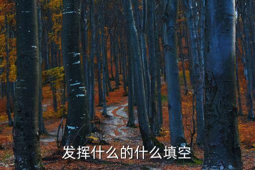 發(fā)揮什么作用，發(fā)什么作用