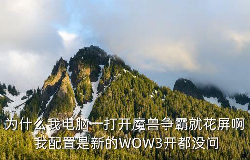 徐國(guó)東，為什么我電腦一打開魔獸爭(zhēng)霸就花屏啊 我配置是新的WOW3開都沒(méi)問(wèn)