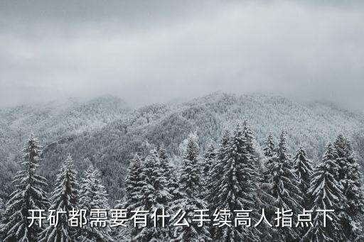 開礦都需要有什么手續(xù)高人指點(diǎn)下