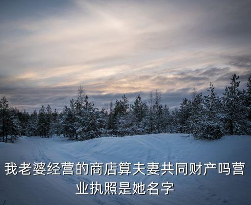 我老婆經(jīng)營的商店算夫妻共同財(cái)產(chǎn)嗎營業(yè)執(zhí)照是她名字