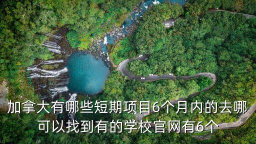 加拿大有哪些短期項(xiàng)目6個(gè)月內(nèi)的去哪可以找到有的學(xué)校官網(wǎng)有6個(gè)
