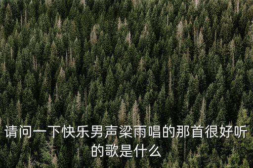 請(qǐng)問一下快樂男聲梁雨唱的那首很好聽的歌是什么