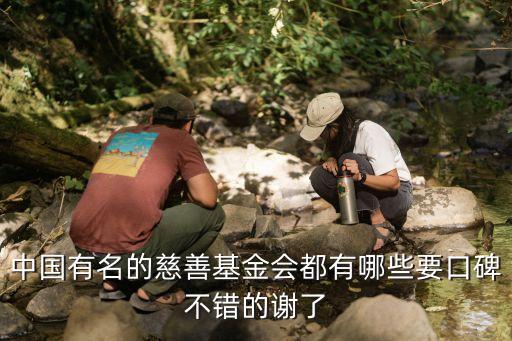 中國(guó)有名的慈善基金會(huì)都有哪些要口碑不錯(cuò)的謝了