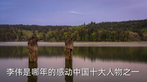 李偉是哪年的感動中國十大人物之一