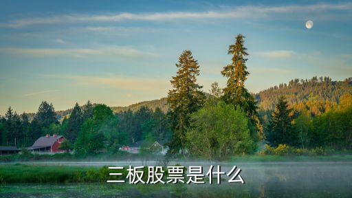 三板股，三板市場有哪些股票