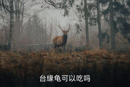 臺緣龜，臺緣龜水深有要求嗎