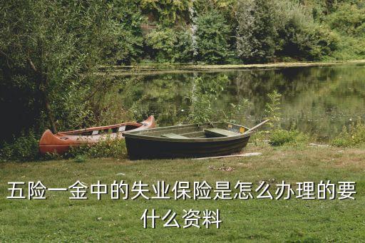 五險(xiǎn)一金中的失業(yè)保險(xiǎn)是怎么辦理的要什么資料