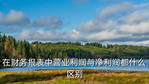 營(yíng)業(yè)利潤(rùn)和凈利潤(rùn)，在財(cái)務(wù)報(bào)表中營(yíng)業(yè)利潤(rùn)與凈利潤(rùn)都什么區(qū)別