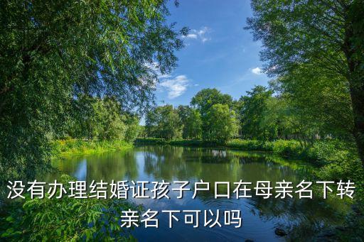 沒(méi)有辦理結(jié)婚證孩子戶口在母親名下轉(zhuǎn)親名下可以嗎