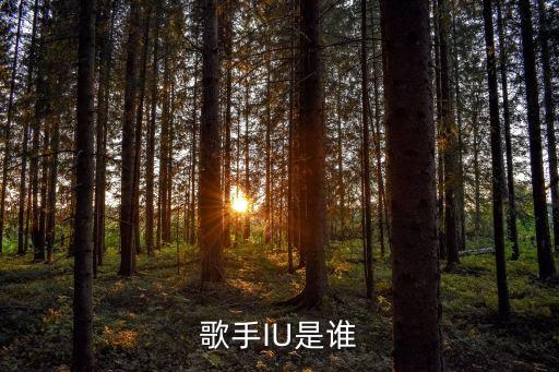 axx是誰，歌手IU是誰