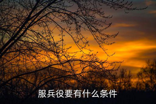 征兵入伍，服兵役要有什么條件