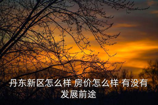 丹東新區(qū)，丹東新城區(qū)怎么樣