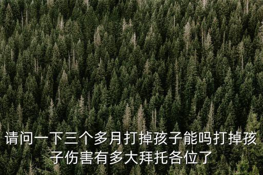 請問一下三個多月打掉孩子能嗎打掉孩子傷害有多大拜托各位了