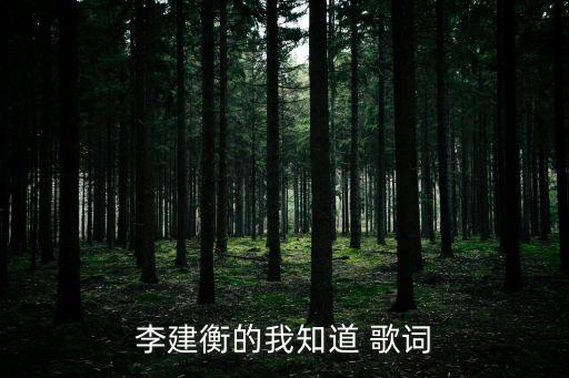 李建衡的我知道 歌詞