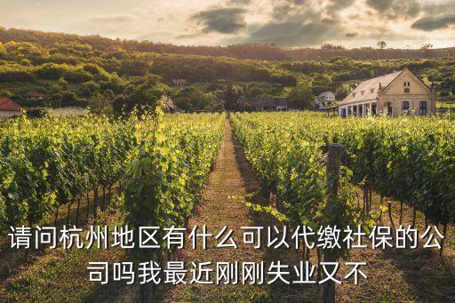 杭州社保代繳機(jī)構(gòu)，請(qǐng)問(wèn)杭州地區(qū)有什么可以代繳社保的公司嗎我最近剛剛失業(yè)又不