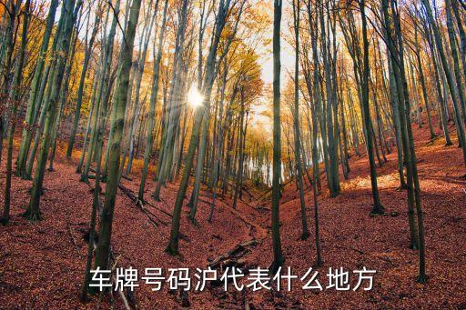 滬h是哪里的車牌，滬h89019是哪里的車牌