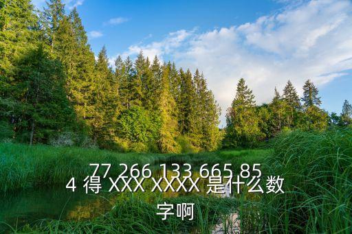 77 266 133 665 854 得 XXX XXXX 是什么數(shù)字啊