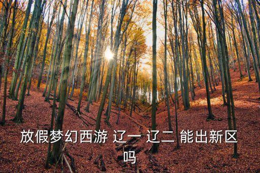 放假夢(mèng)幻西游 遼一 遼二 能出新區(qū)嗎