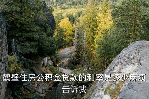 鶴壁住房公積金貸款的利率是多少麻煩告訴我