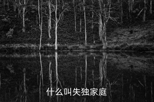失獨(dú)是什么意思，失獨(dú)家庭是什么意思