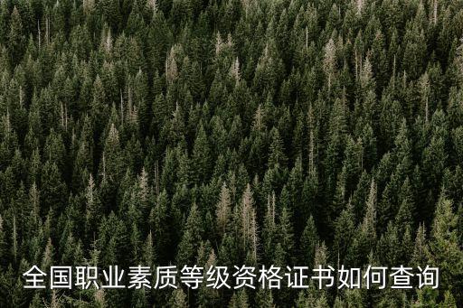 全國(guó)職業(yè)素質(zhì)等級(jí)資格證書如何查詢