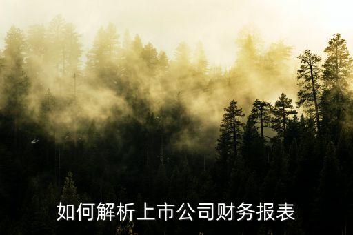 如何解析上市公司財(cái)務(wù)報(bào)表